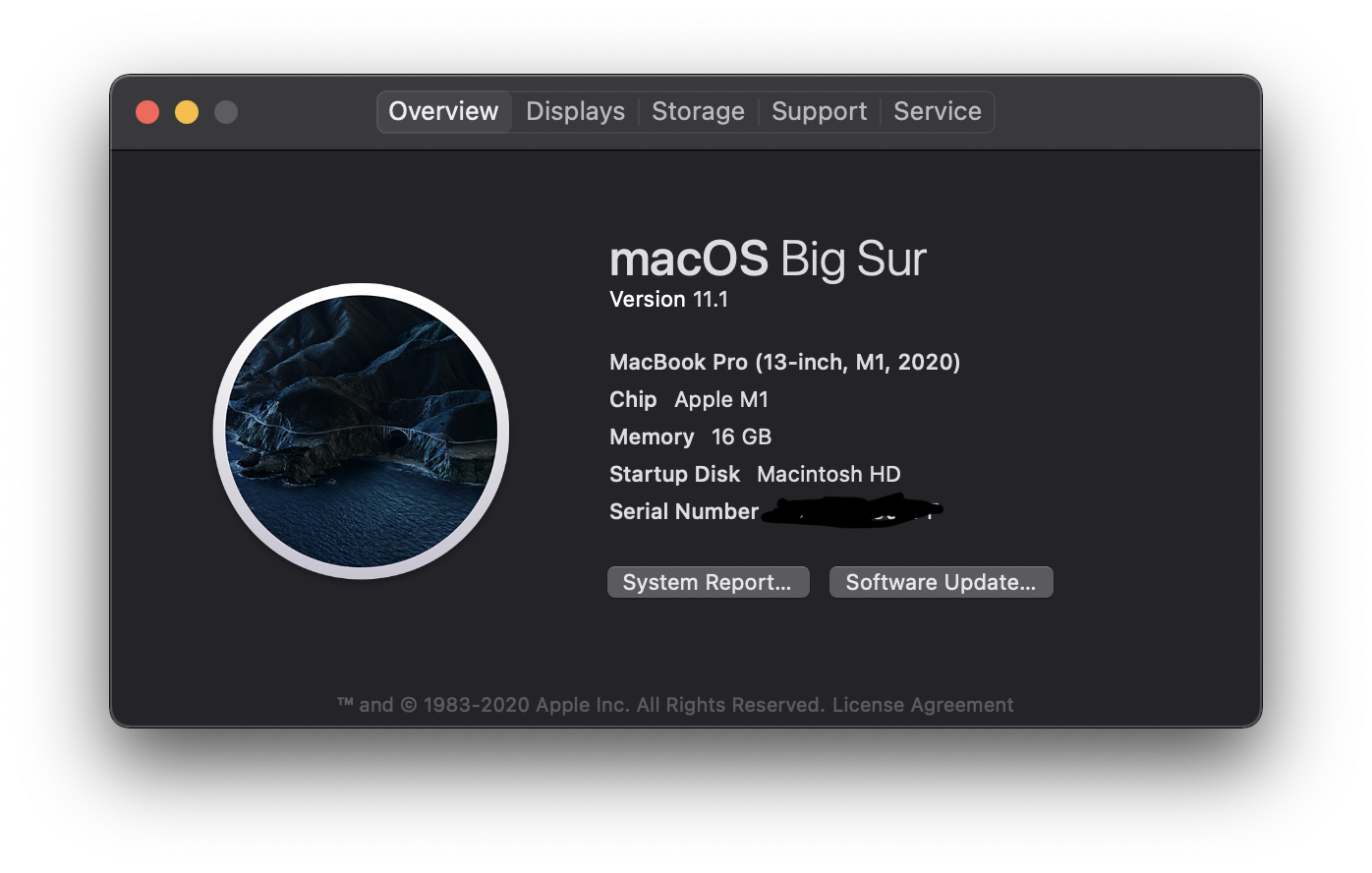 M1 MacBook Pro 13″